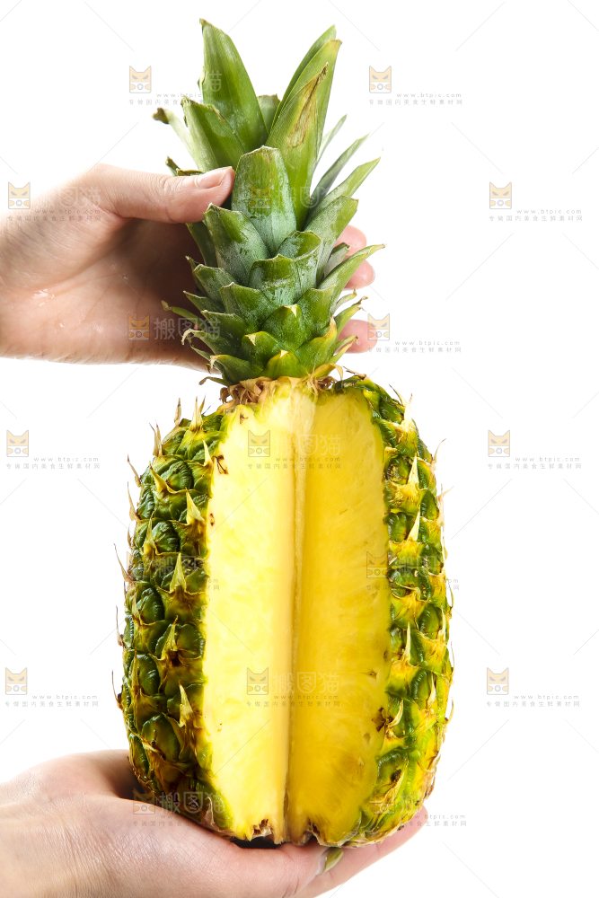 手里拿着海南金钻凤梨
