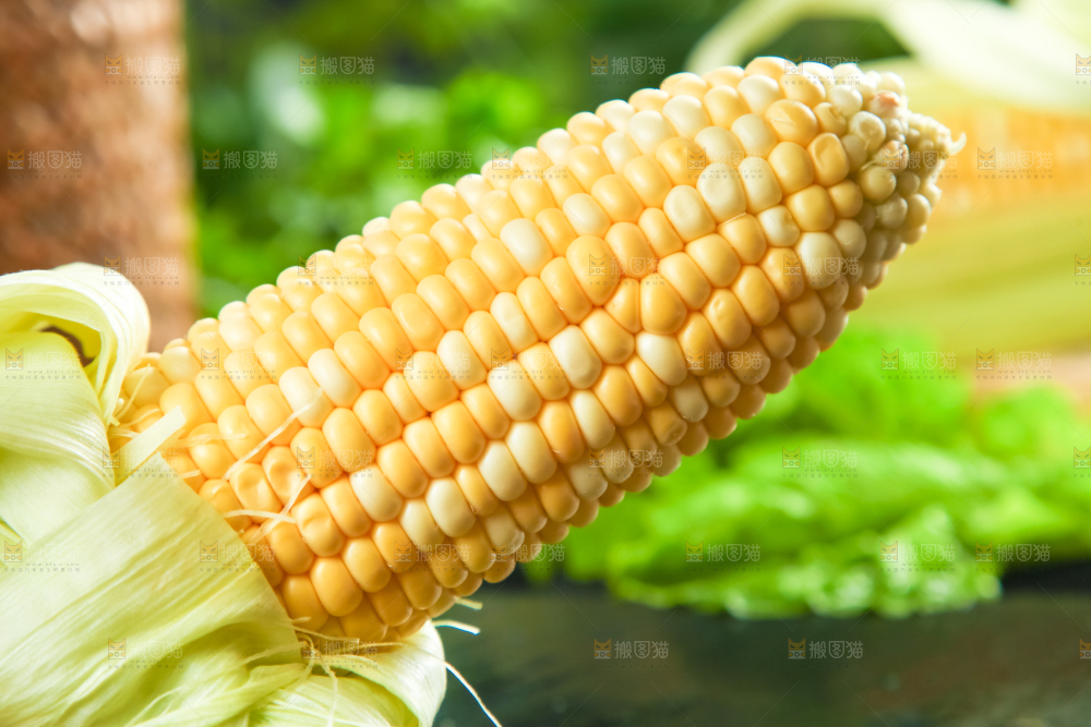 一根花玉米