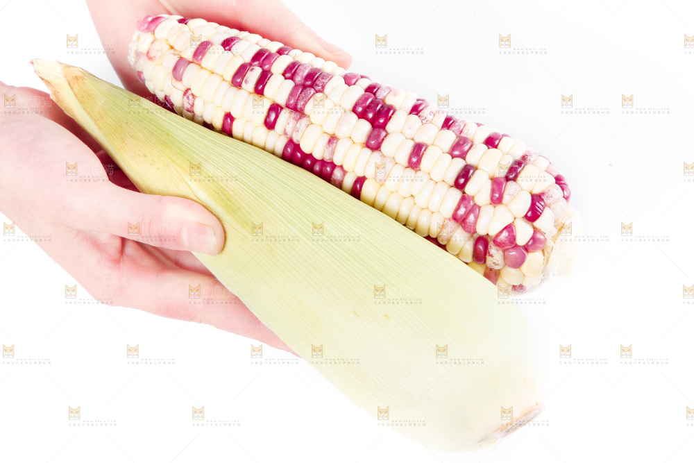 手里拿着剥皮的花玉米