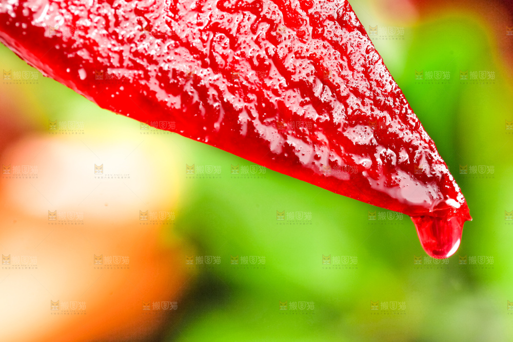 切块的甜菜根