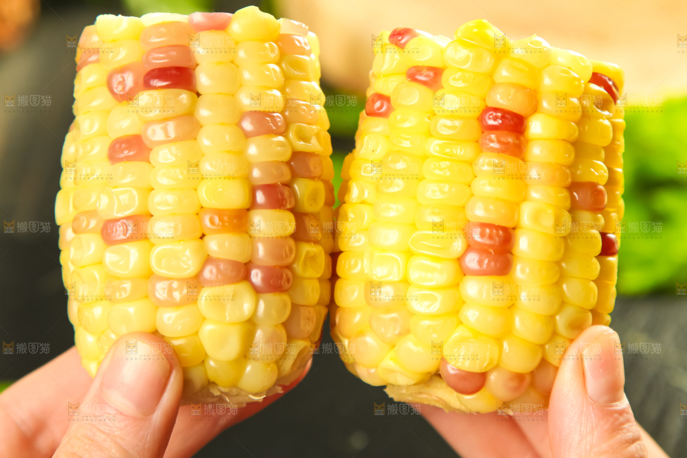 手里拿着糯玉米