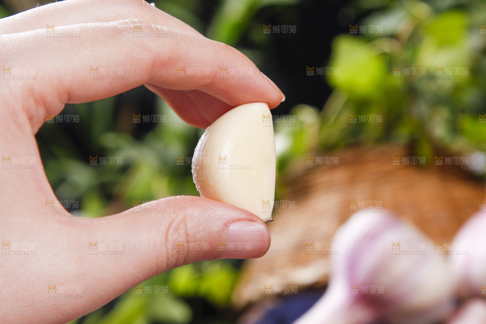 手里拿着紫皮蒜