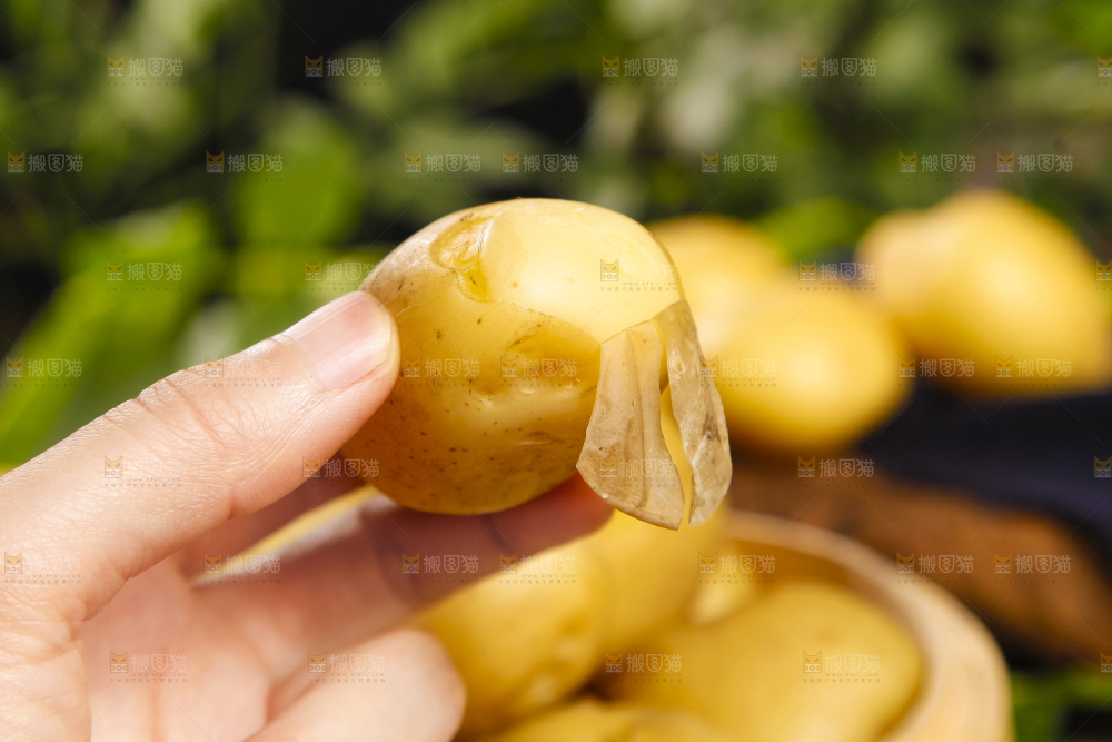 手里拿着云南小土豆