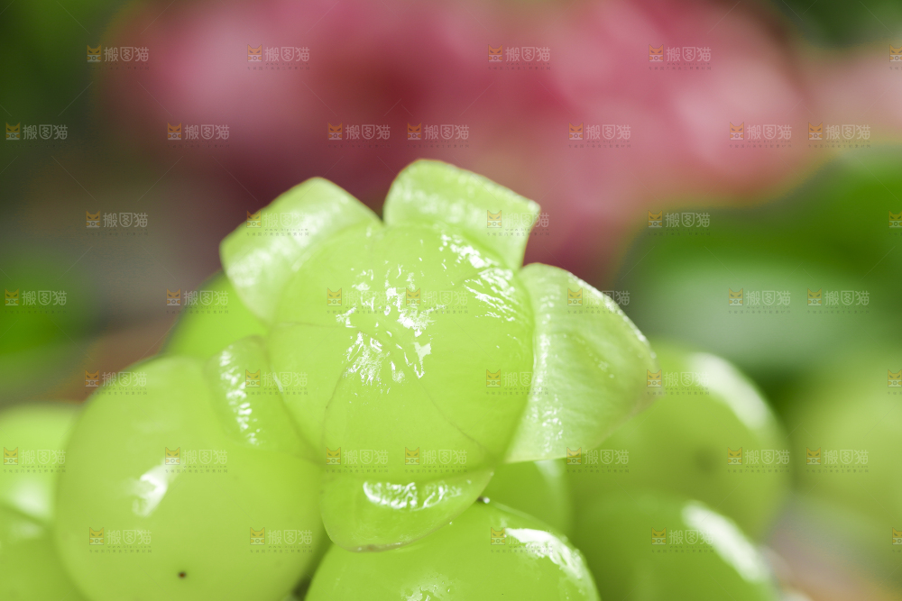 剥皮的无籽青提