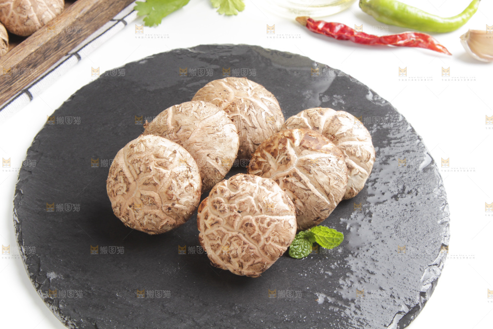石板上的冬花菇