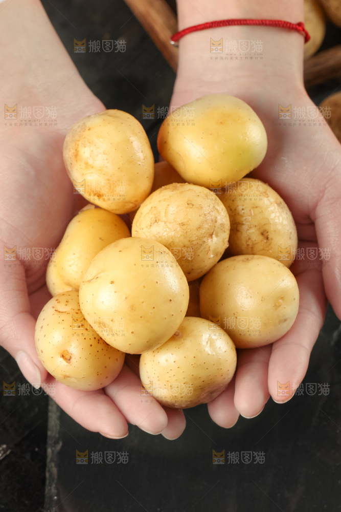 手里拿着小土豆
