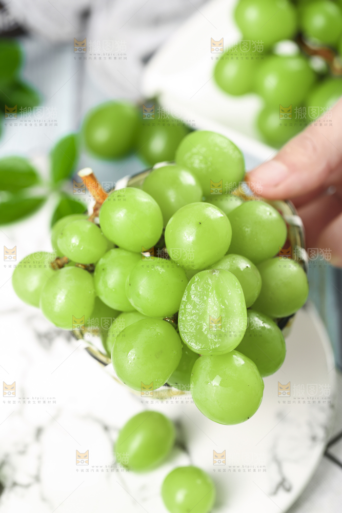 石板上放着无籽青提