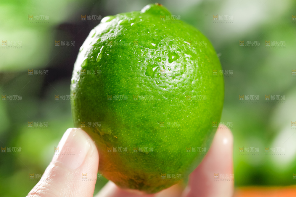 手里拿着无籽青柠檬
