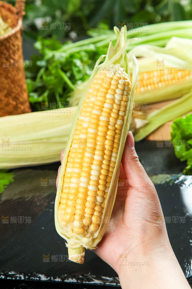 手里拿着花玉米