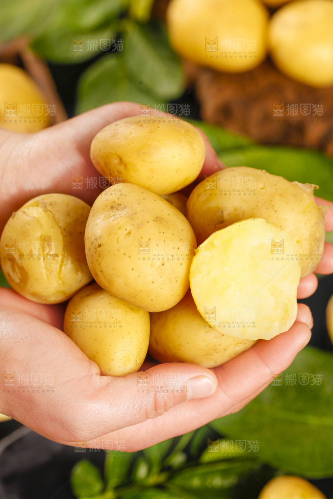 手里拿着小土豆