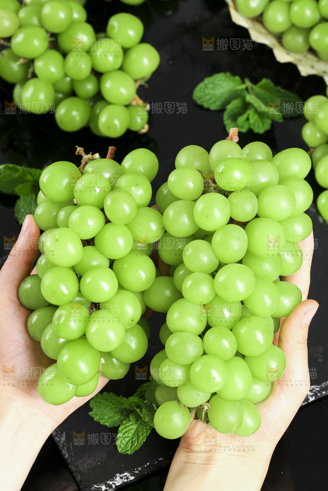 手里拿着无籽青青提