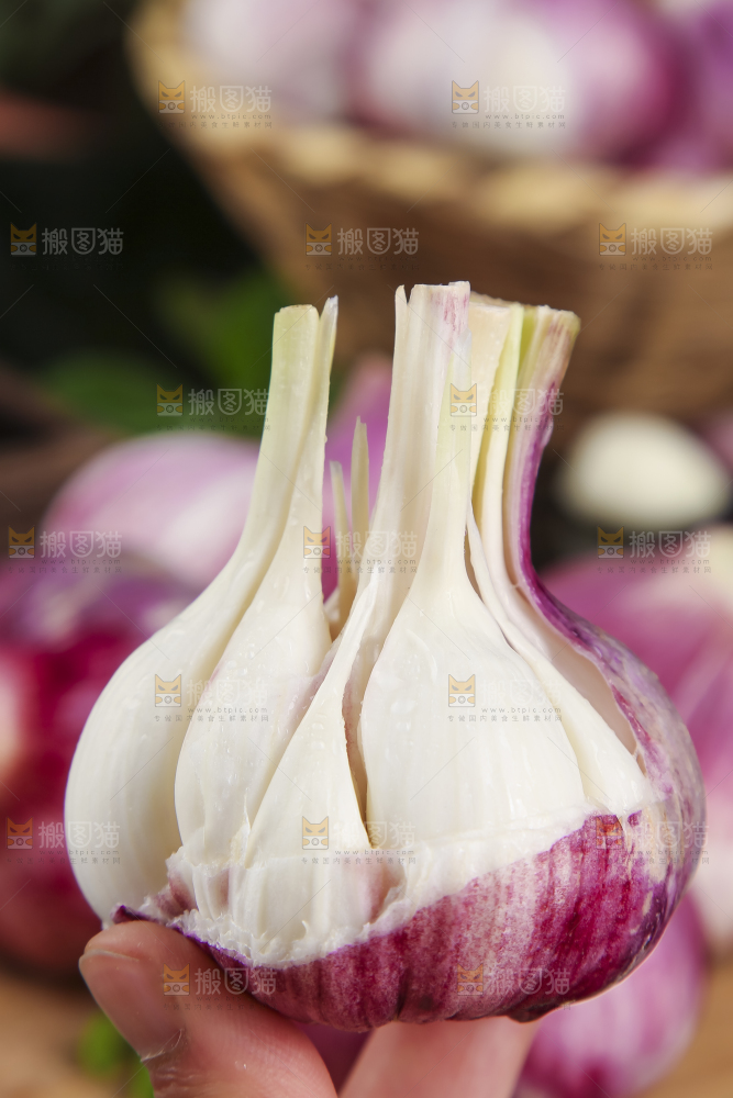手里拿着云南紫皮蒜