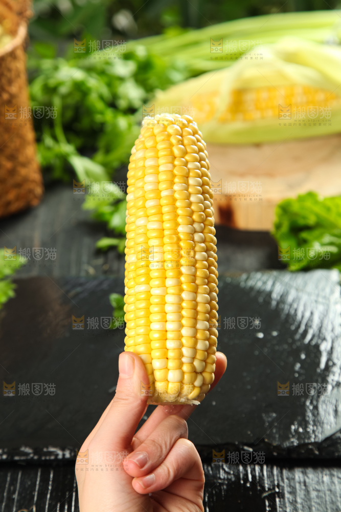 手里拿着糯玉米