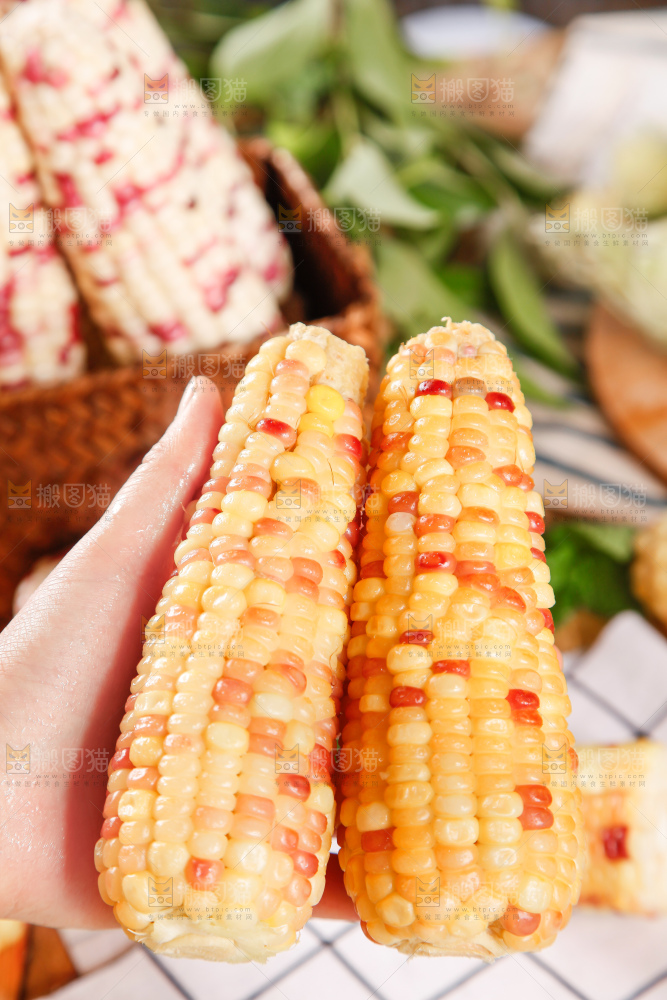 花糯玉米熟