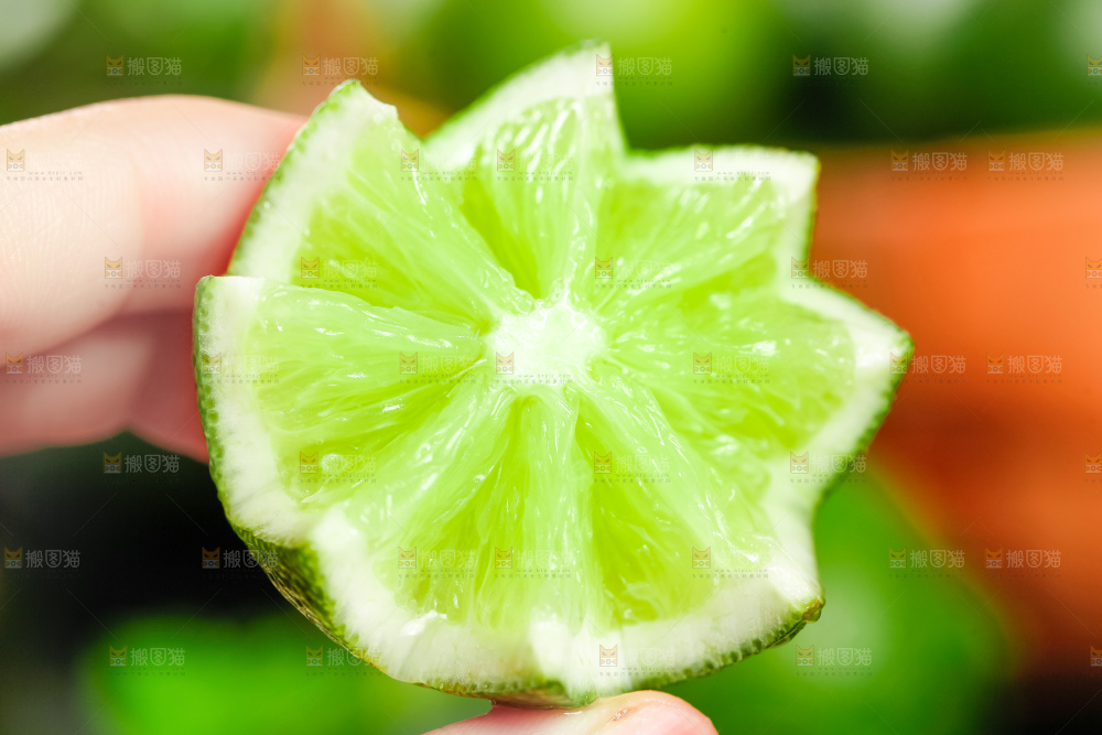 手里拿着无籽青柠檬