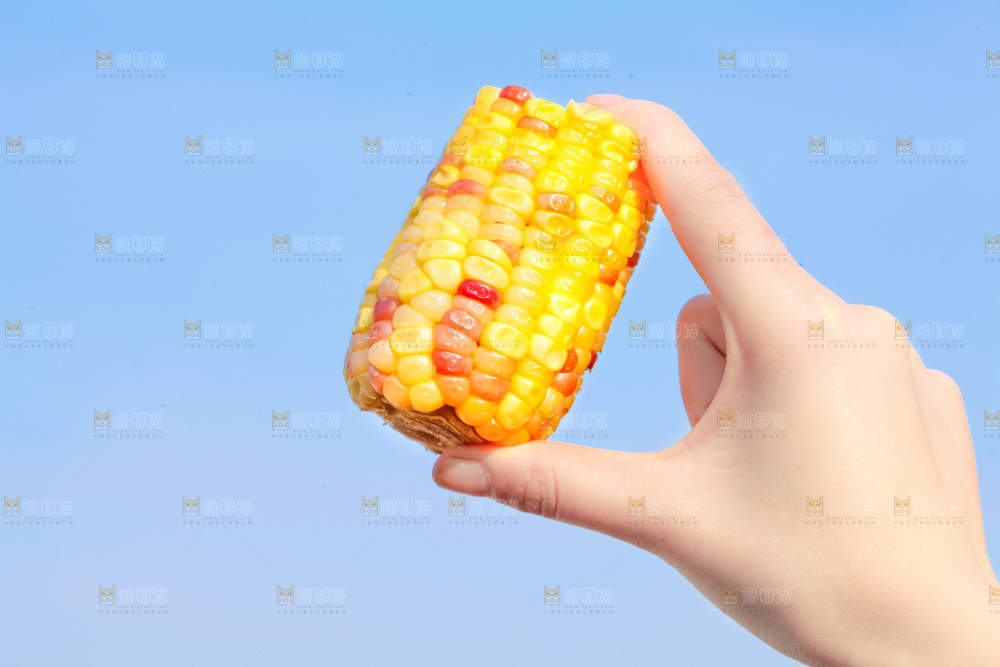 手里拿着花糯玉米