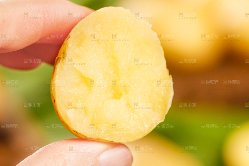 手里拿着云南小土豆