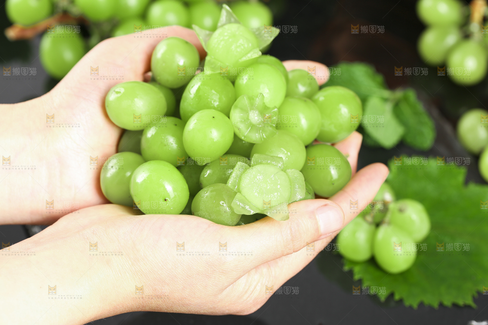 手里拿着无籽青提