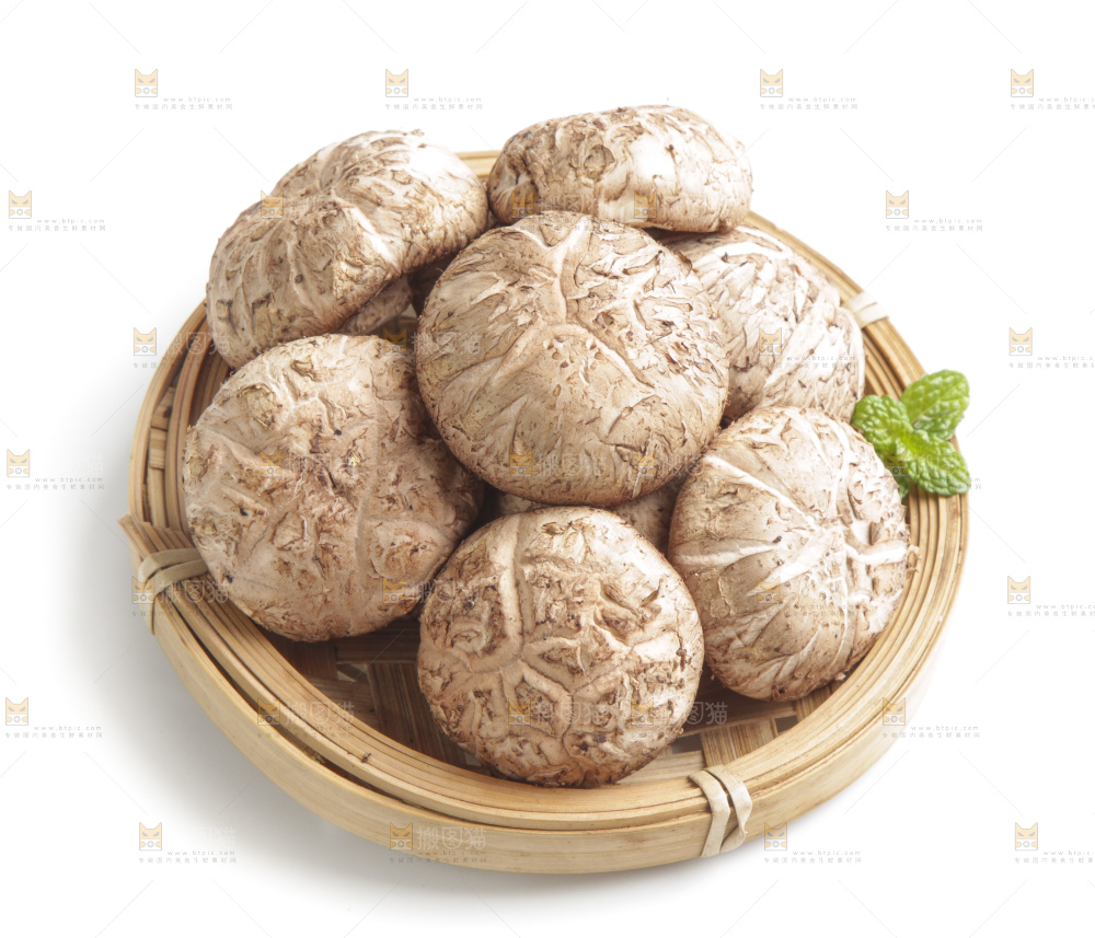 白底上的花菇