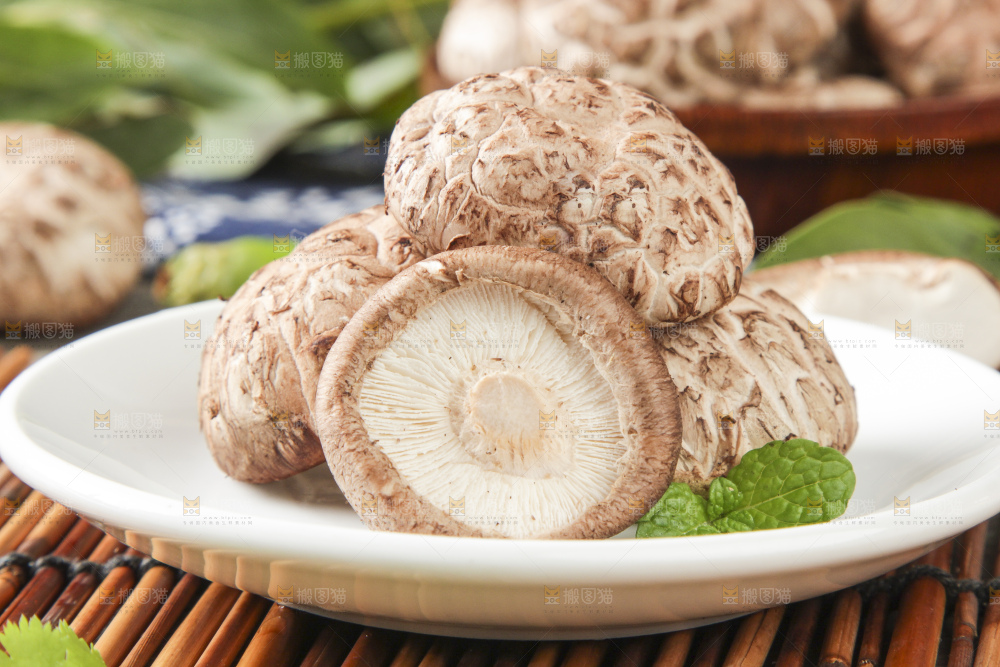 竹垫子上放着新鲜花菇