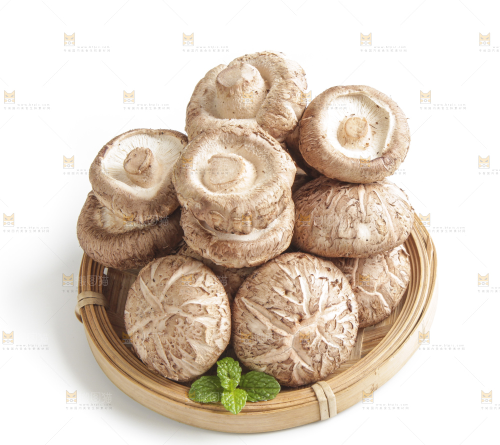 白底上的花菇