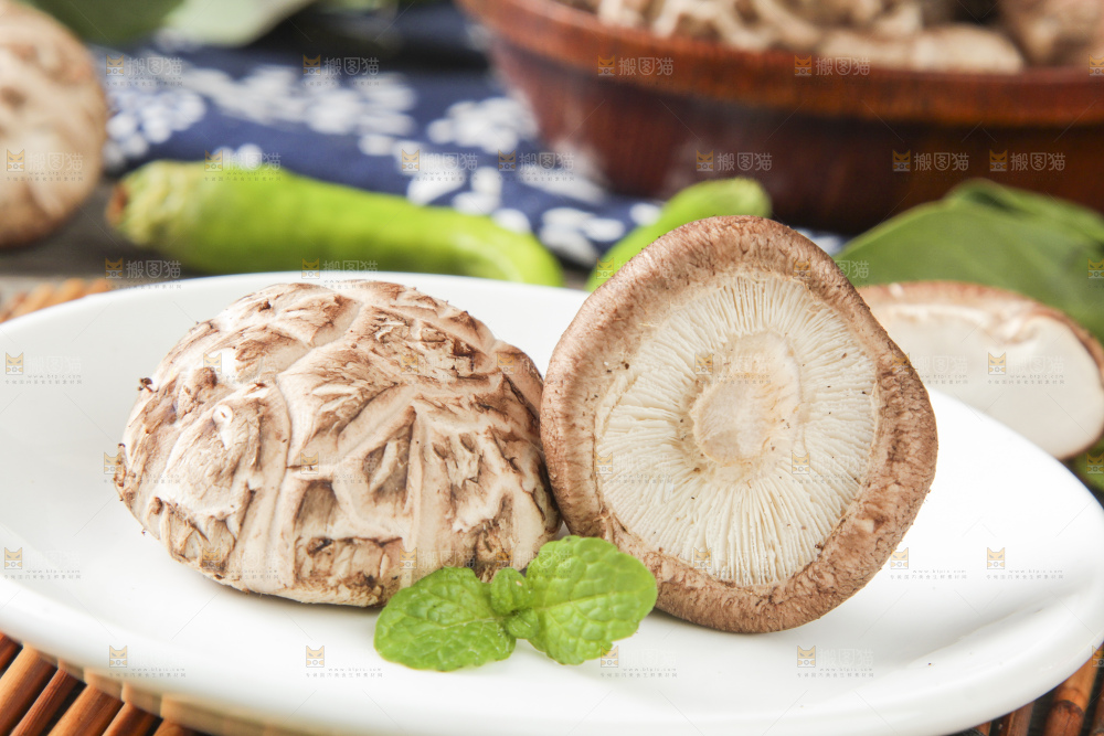 竹垫子上放着新鲜花菇