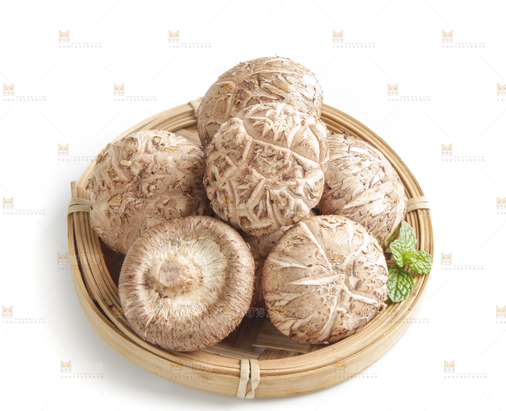 白底上的花菇