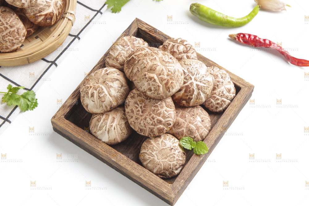 白格子布上的蘑菇