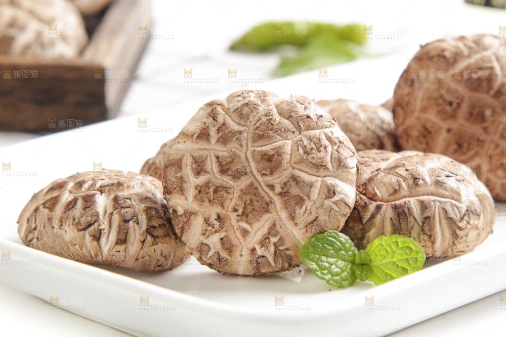 白格子布上的蘑菇