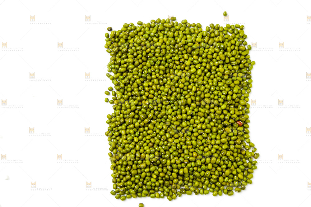 新鲜绿豆放在白底上