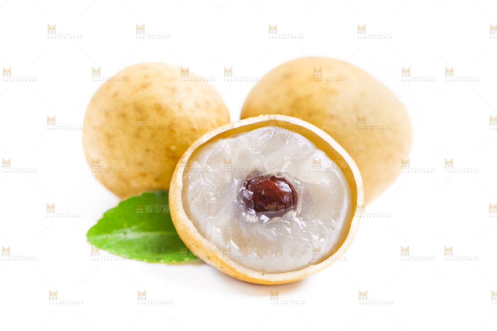 白底上的桂圆