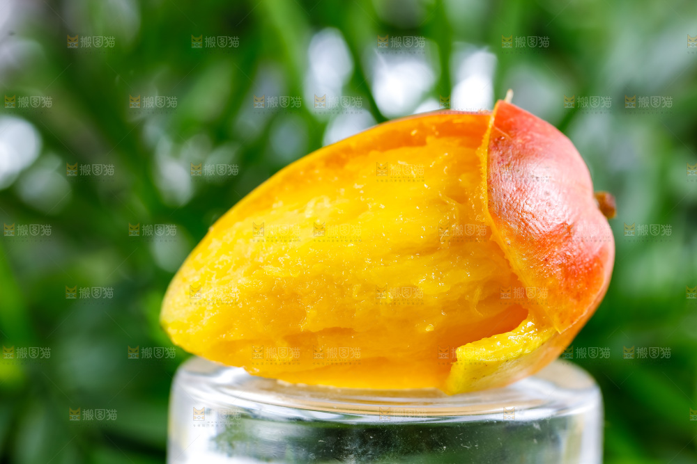 浅底上的彩芒