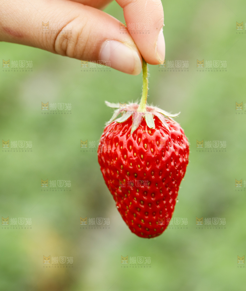 手拿草莓