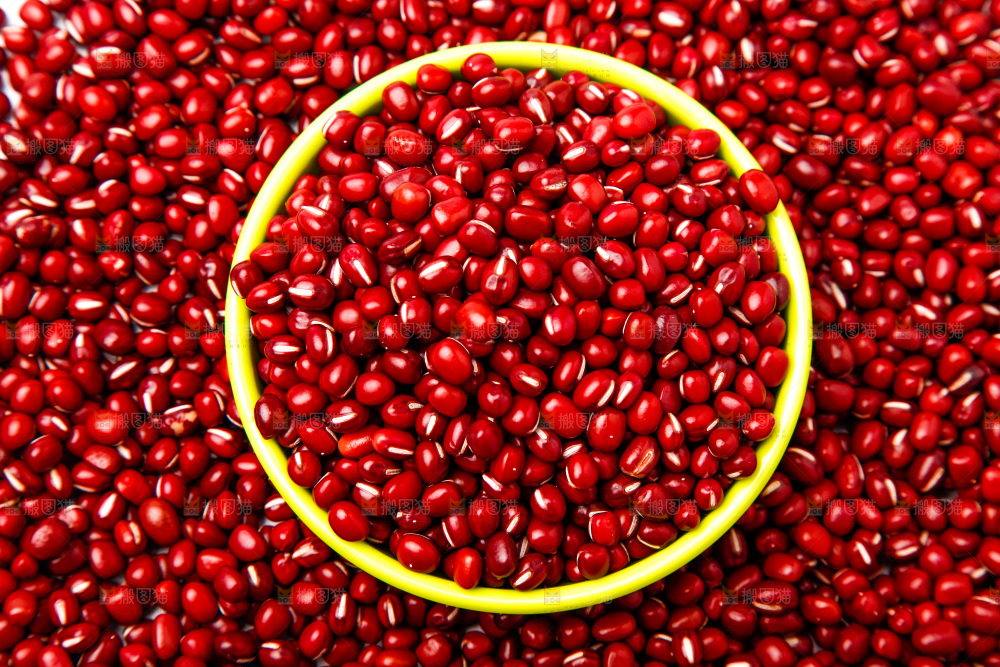 东北红小豆放在白底上