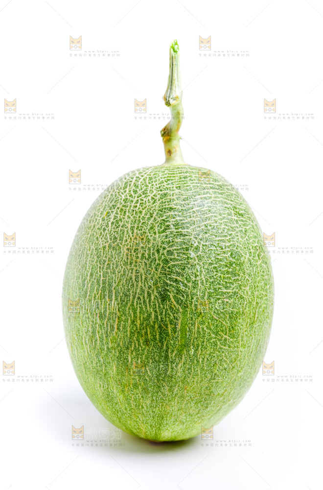 白底上的哈密瓜