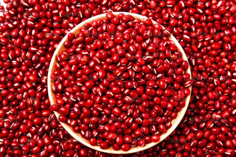 东北红小豆放在白底上