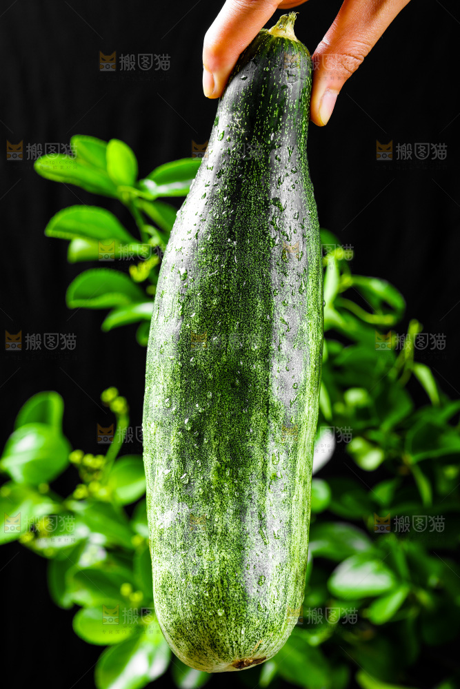 手拿羊角蜜