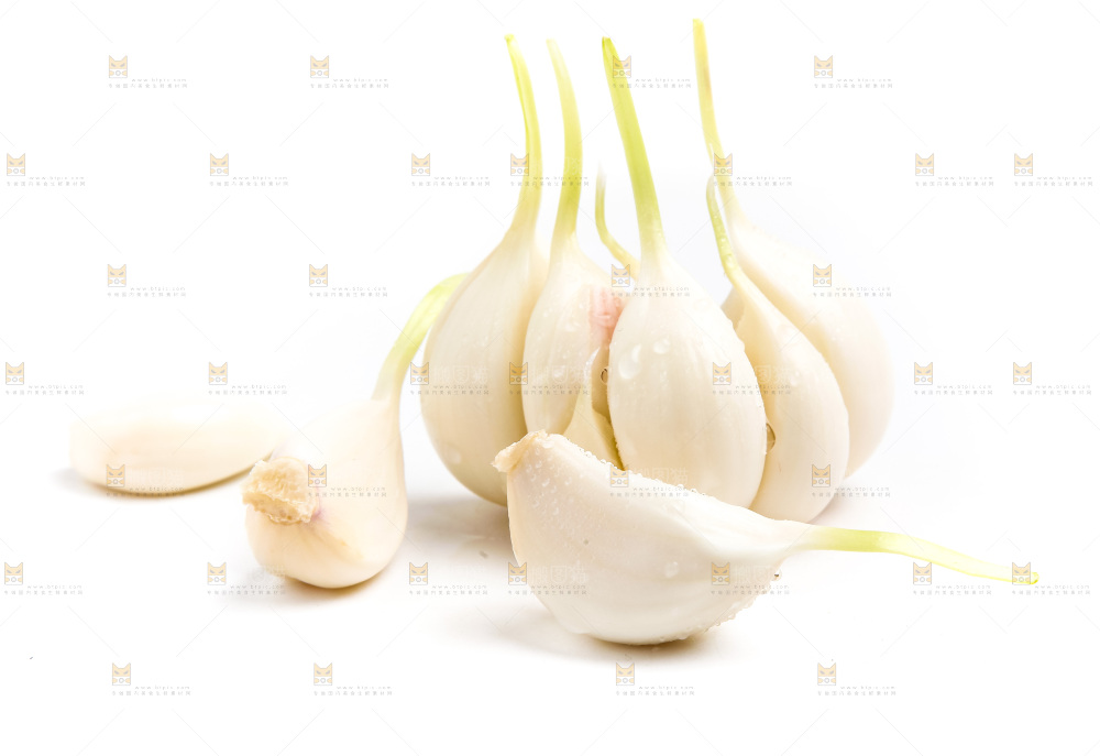 紫皮大蒜放在白底上