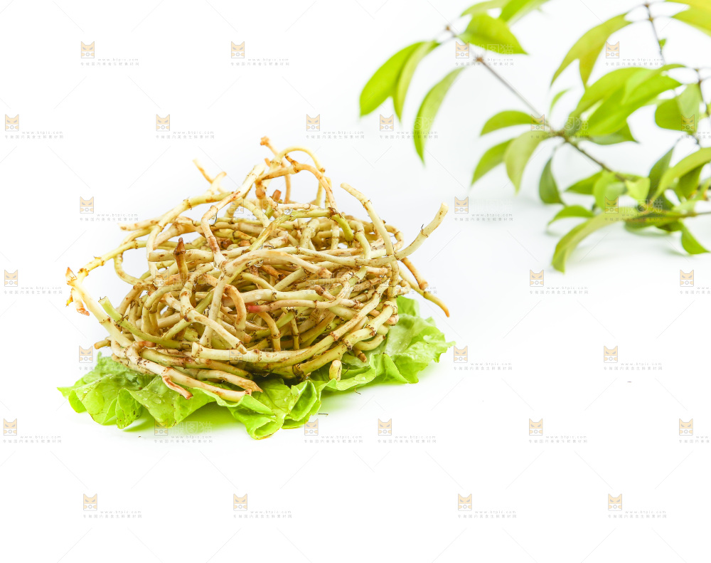 白底上的折耳根