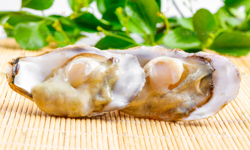 浅底上放着乳山生蚝