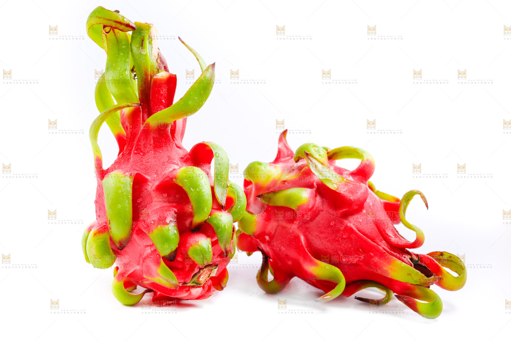 白底上的火龙果