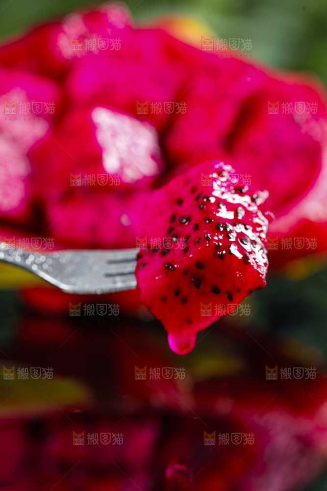 叉子叉着红心火龙果果肉