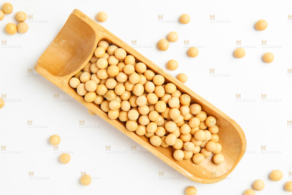 白底上的新鲜黄豆