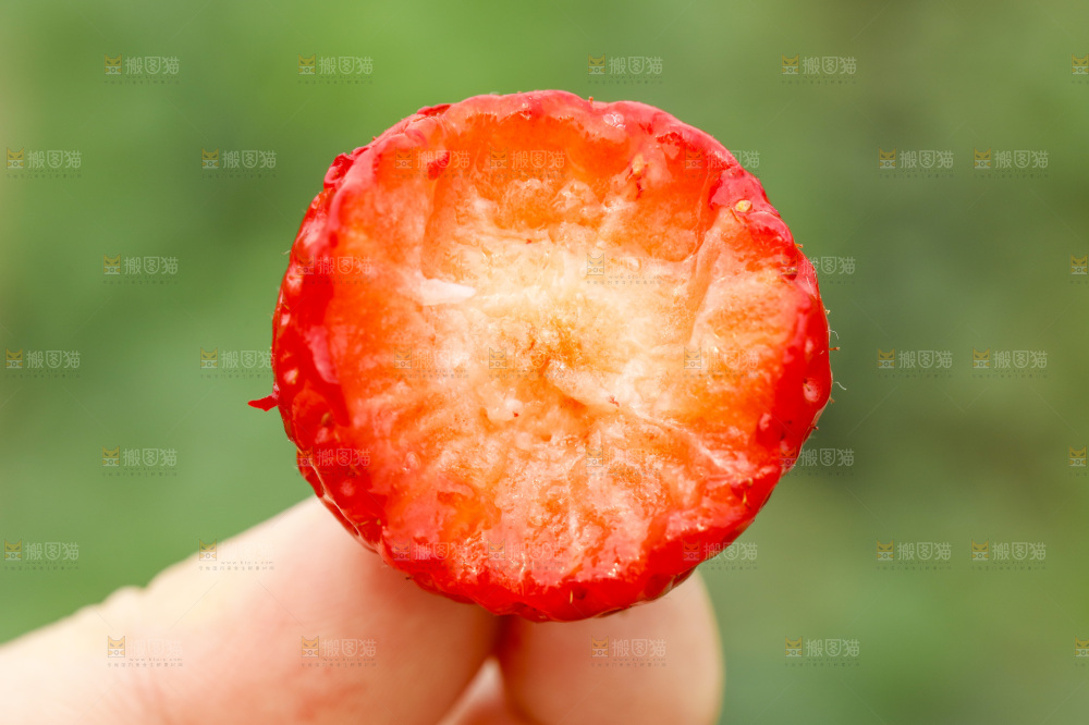 手拿草莓