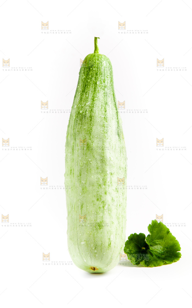 白底上的山东羊角蜜甜瓜