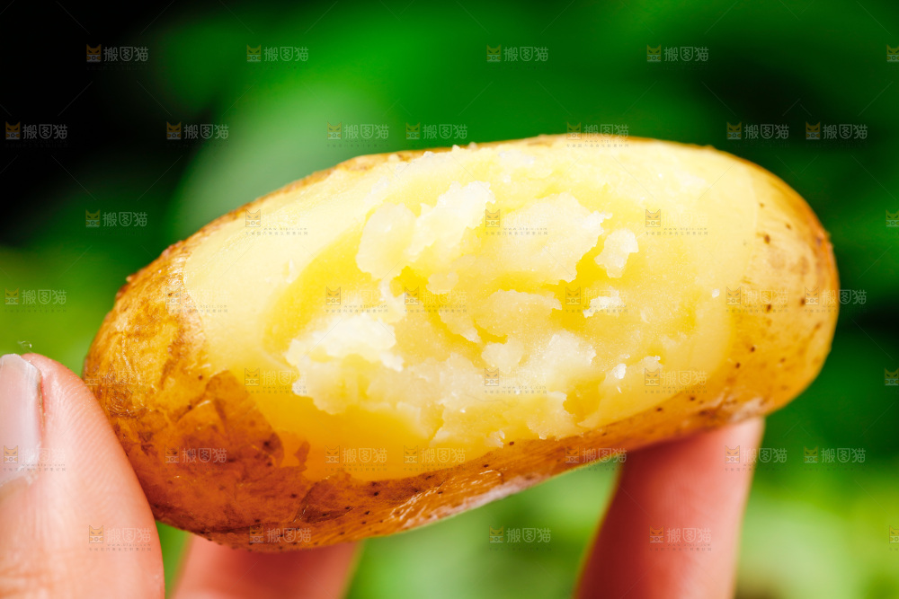 手拿黄心土豆