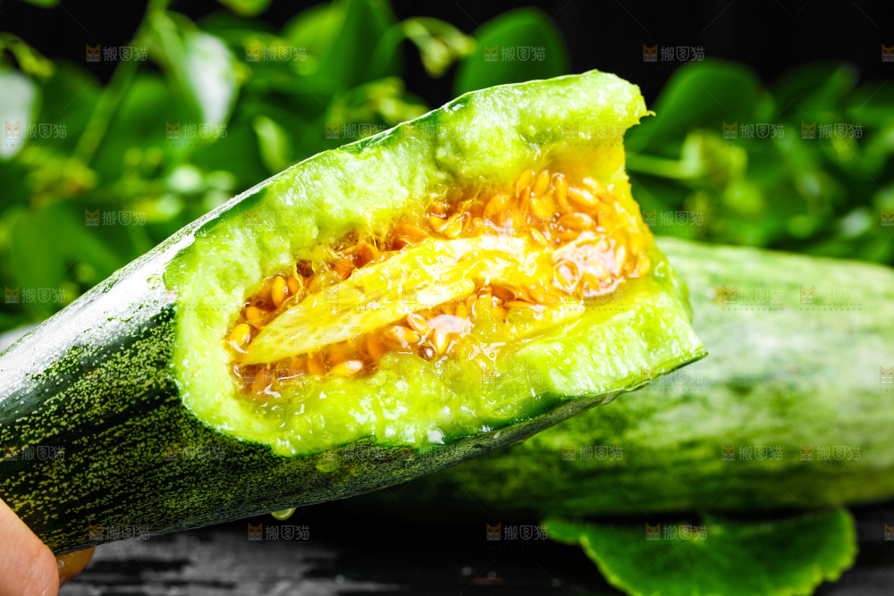 手拿掰开的羊角蜜
