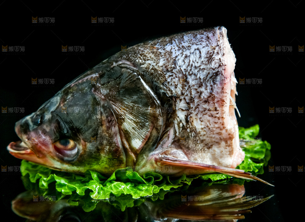 黑底上的鱼头