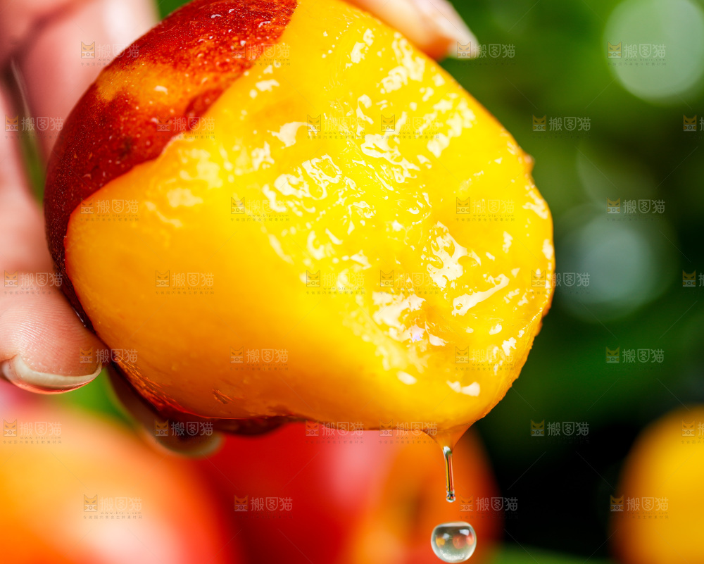 手拿黄心油桃