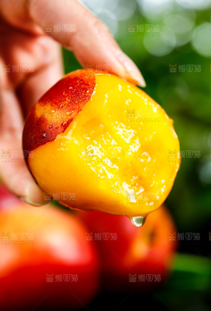 手拿黄心油桃